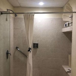 Se Permiten Perros Habitación
